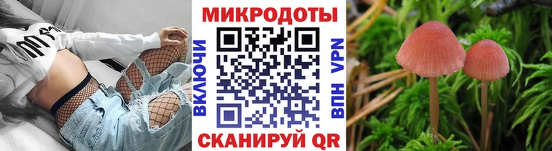 наркотики Якутск Галлюциногенные грибы Psilocybe